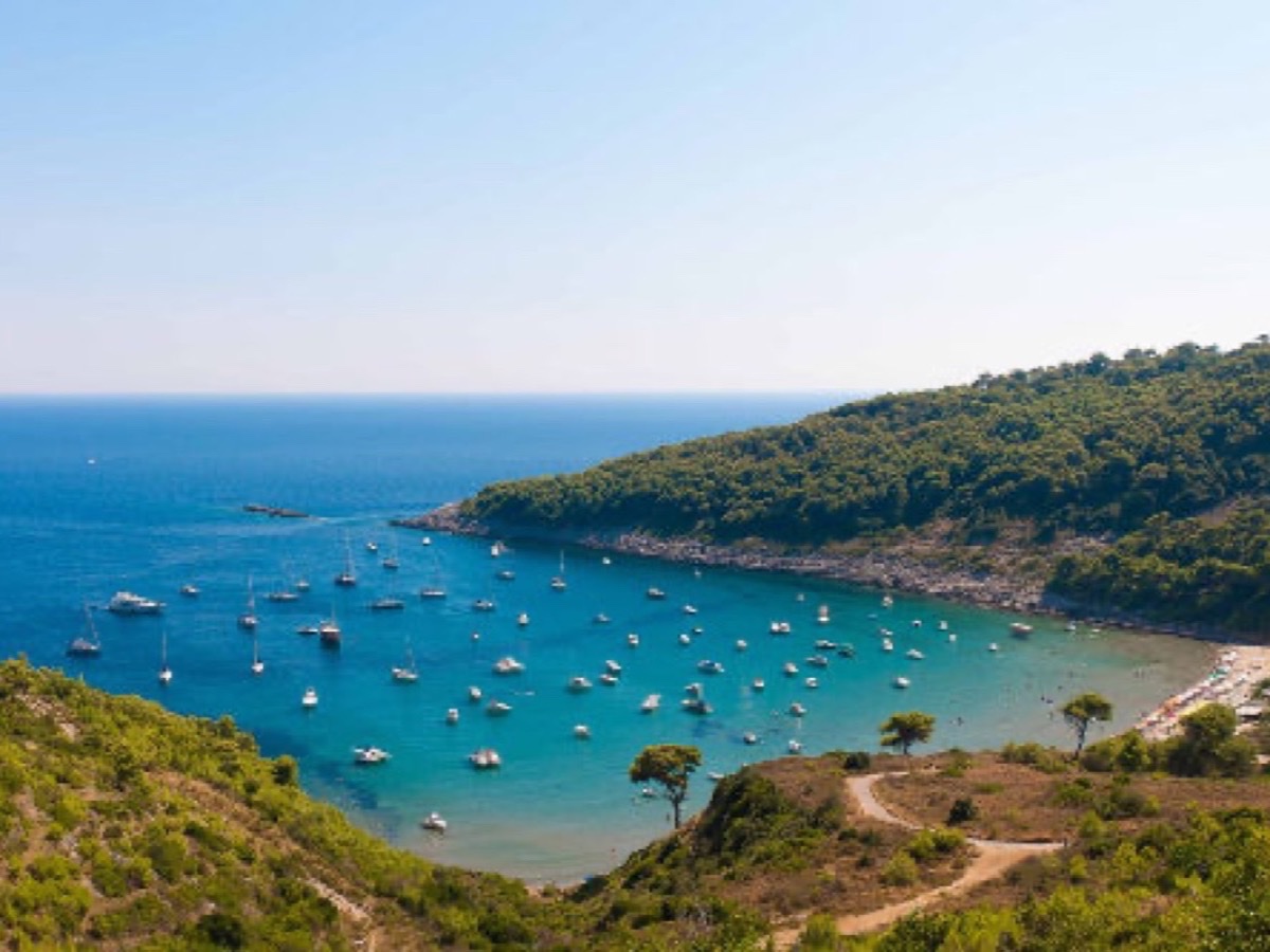 Fish Picnic shared full-day charter with lunch on board from Marina Frapa